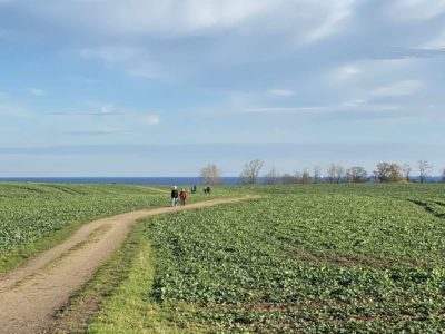 Small road from Alt-Bülk to the Baltic Sea