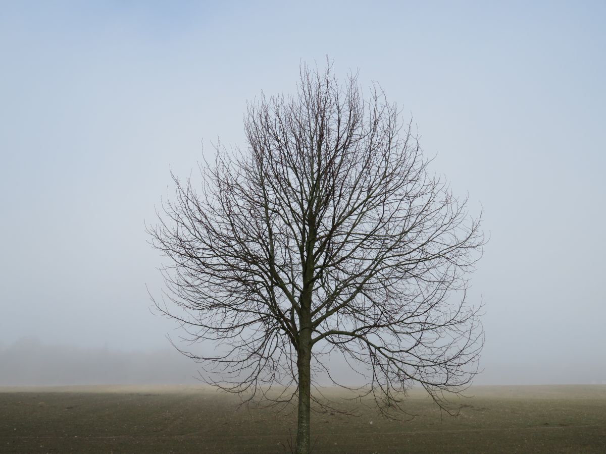 Herbstwetter & Nebel in Norddeutschland