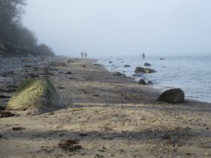 Naturstrand Dänisch-Nienhof an der Ostsee