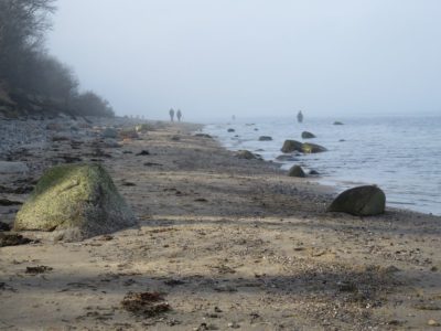 Natural beach Dänisch-Nienhof on the Baltic Sea