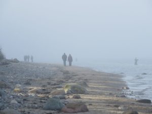 Nebel am Ostseestrand Dänisch-Nienhof