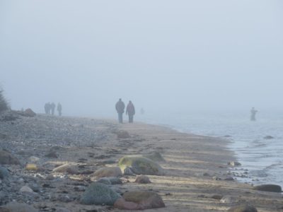 Fog on the Baltic Sea beach Dänisch-Nienhof