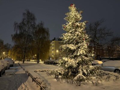 Esmarchstraße Kiel Weihnachtstanne am Blücherplatz