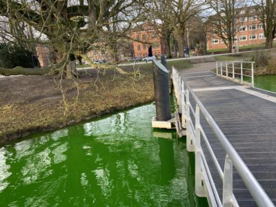 Grünes Wasser mit Farbstoff Kleiner Kiel 11.01.2022