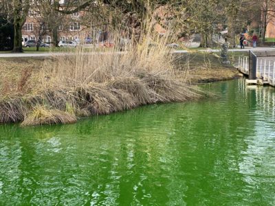 Kleiner Kiel grüner Farbstoff im Wasser