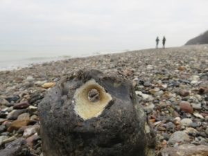 Hühnergott am Strand der Ostsee