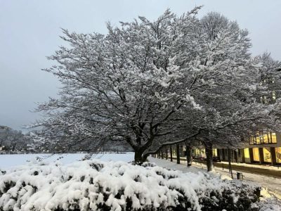 Jensendamm & Kleiner Kiel in winter