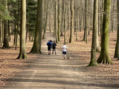 Joggen im Wald Tiergehege Tannenberg