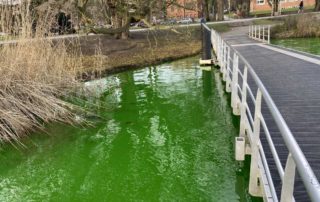 Kleiner Kiel bright green colored water
