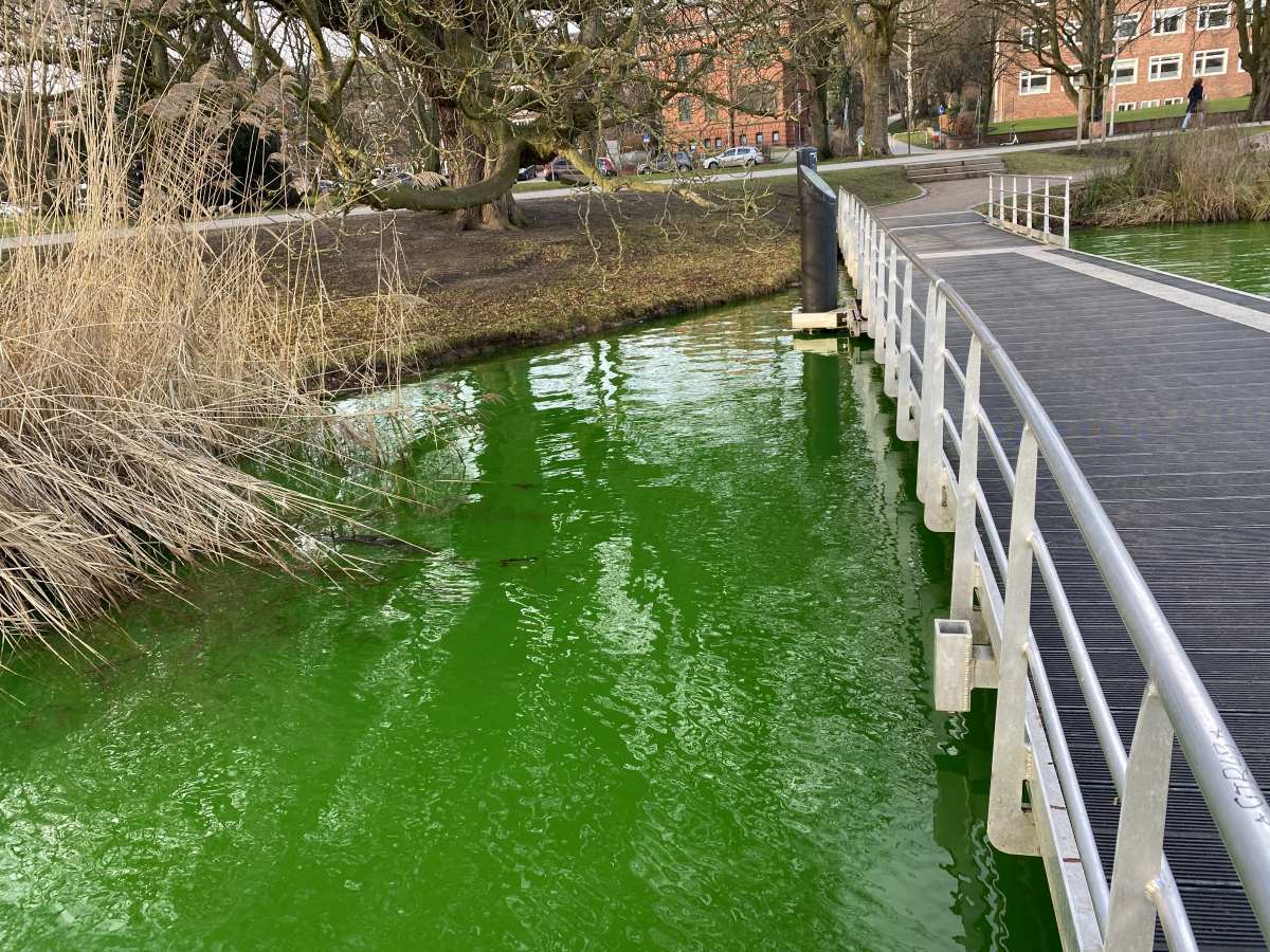 Kleiner Kiel knallgrün gefärbtes Wasser