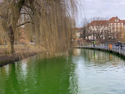 Kleiner Kiel grünes Wasser Ufer Hiroshimapark