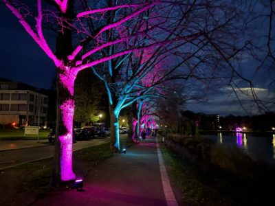 Lorentzendamm Kiel Bäume Kieler Lichtermeer