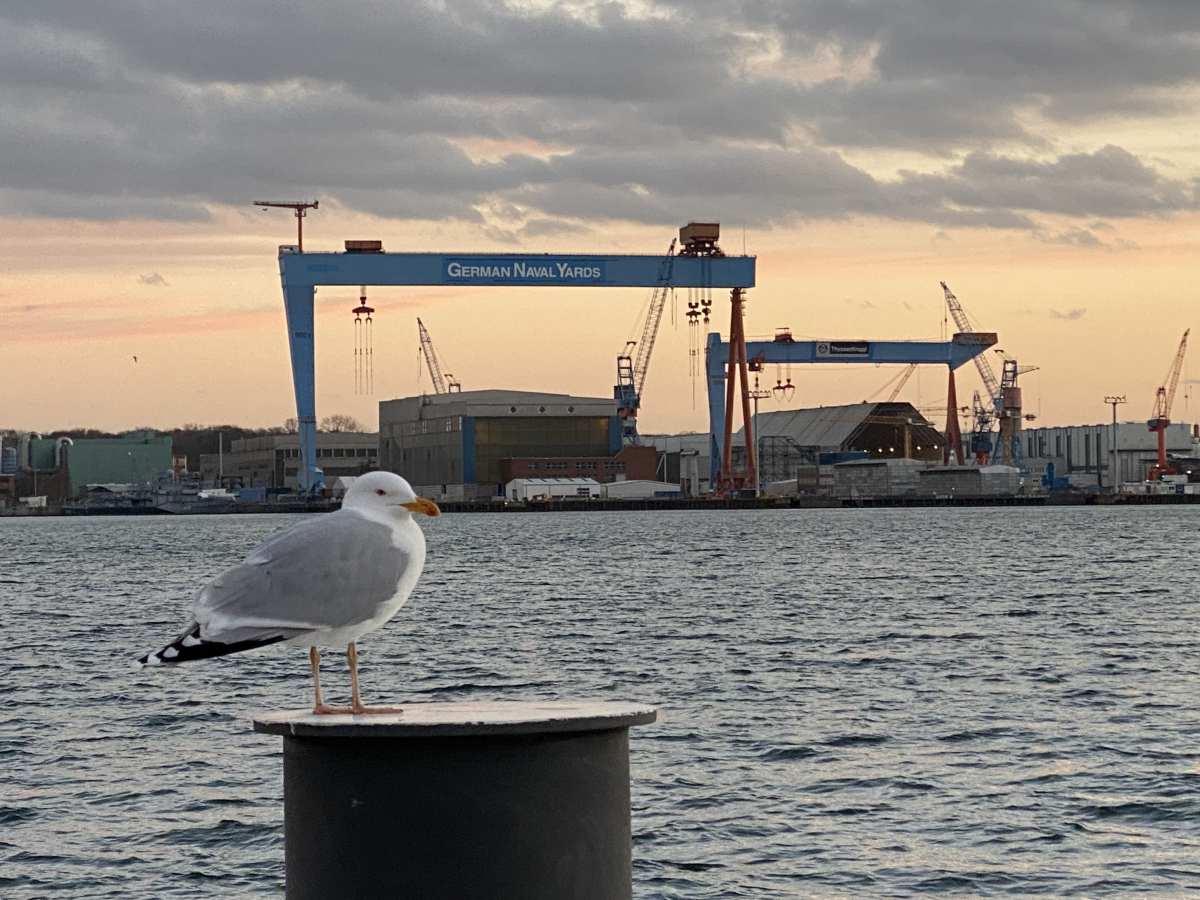 Seagull at the Kiel Fjord and German Naval Yards shipyard