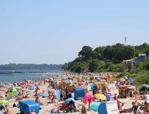 Heat record in Schleswig-Holstein: More than 39 degrees on July 20th, 2022
