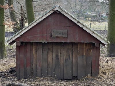 Wildschwein Hütte