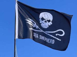 Sea Shepherd Totenkopf Flagge