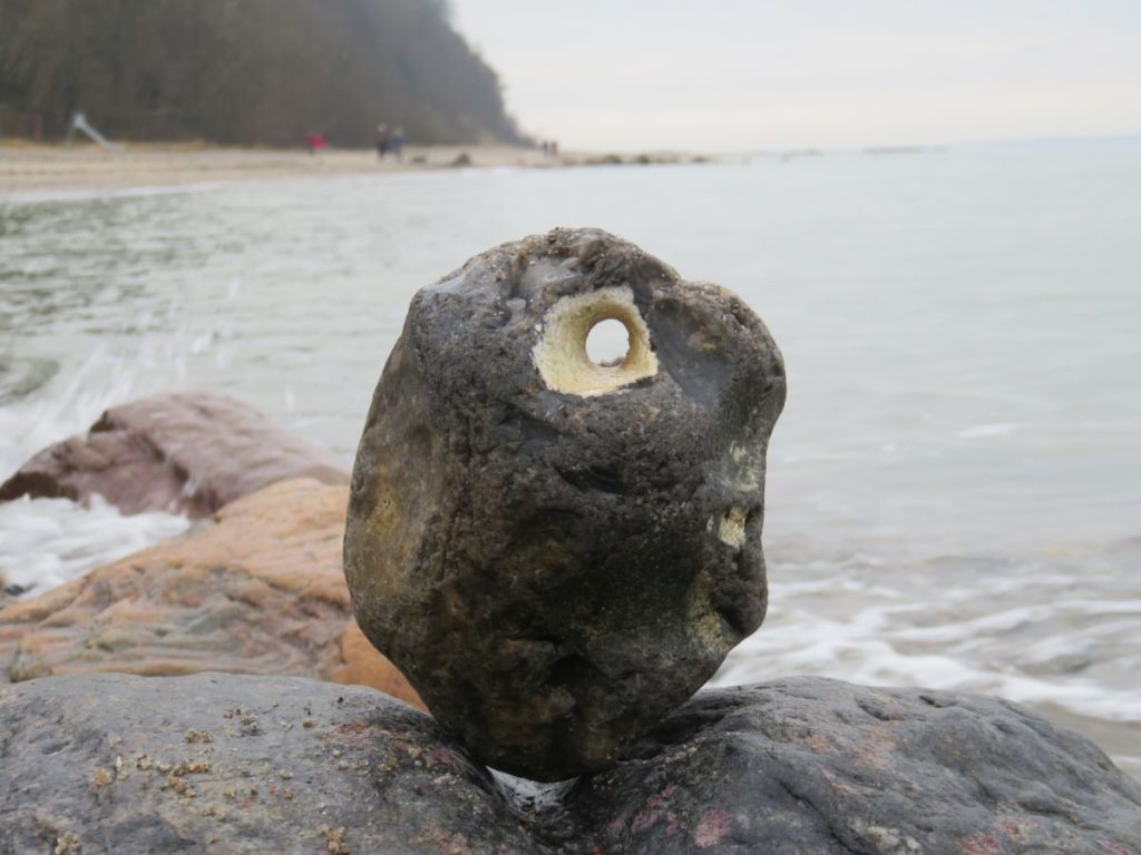Adder stone at the Baltic Sea We love Kiel