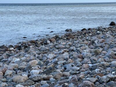 Steine an der Steilküste Stohl / Dänischer Wohld