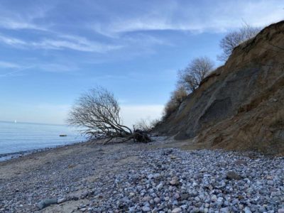 Baltic Sea Beach Dänisch-Nienhof Dänischer Wohld