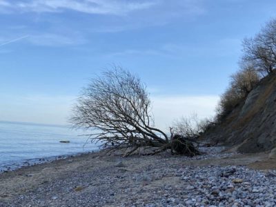 Baltic Sea Beach Dänisch-Nienhof Dänischer Wohld
