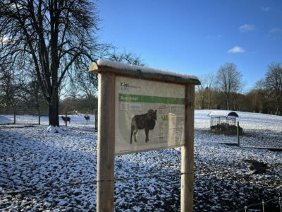 Uhlenkrog animal enclosure information board Soay sheep