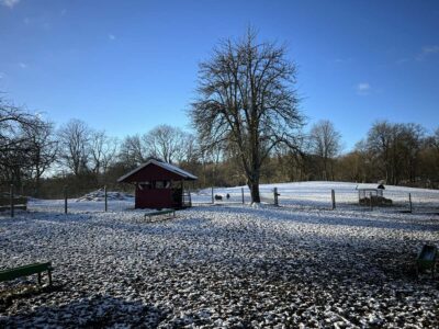 Uhlenkrog Kiel animal enclosure