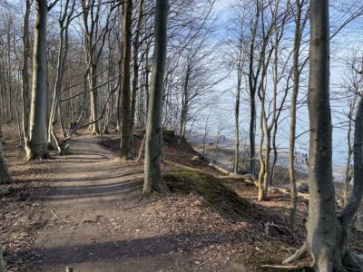 Forest and cliffs Danish-Nienhof