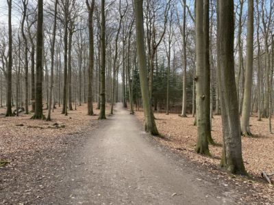 Wald Tiergehege Tannenberg Kiel