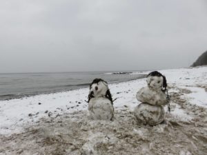Winter an der Ostsee am Strand Dänisch-Nienhof