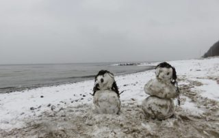 Winter at the Baltic Sea on the beach Dänisch-Nienhof