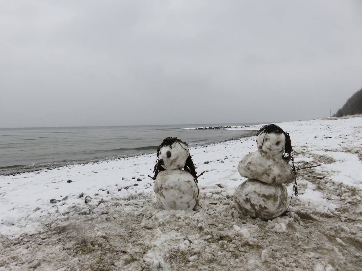 Winter at the Baltic Sea on the beach Dänisch-Nienhof